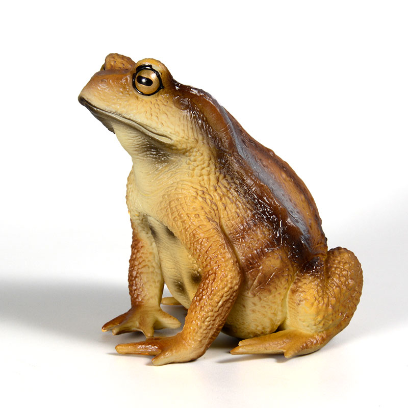 Amphibian Frog Figure Insect M - Kids First Education avaliação e preço