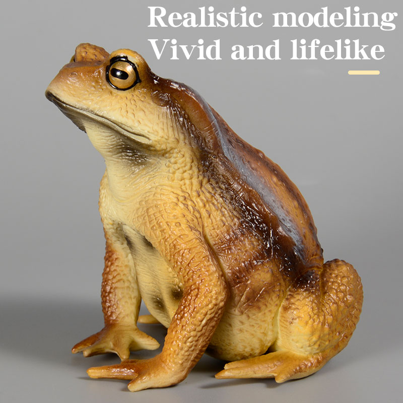 Amphibian Frog Figure Insect M - Kids First Education avaliação e preço