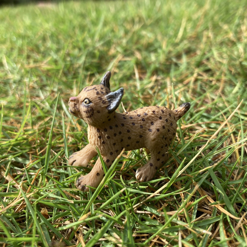 Realistic Animal Toy Model Min - Kids First Education avaliação e preço