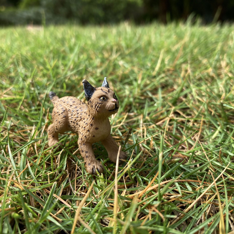 Realistic Animal Toy Model Min - Kids First Education avaliação e preço