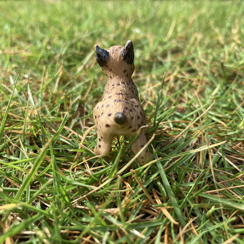 Realistic Animal Toy Model Min - Kids First Education avaliação e preço