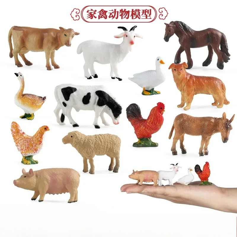 Education Teaching Tool Poultr - Kids First Education avaliação e preço