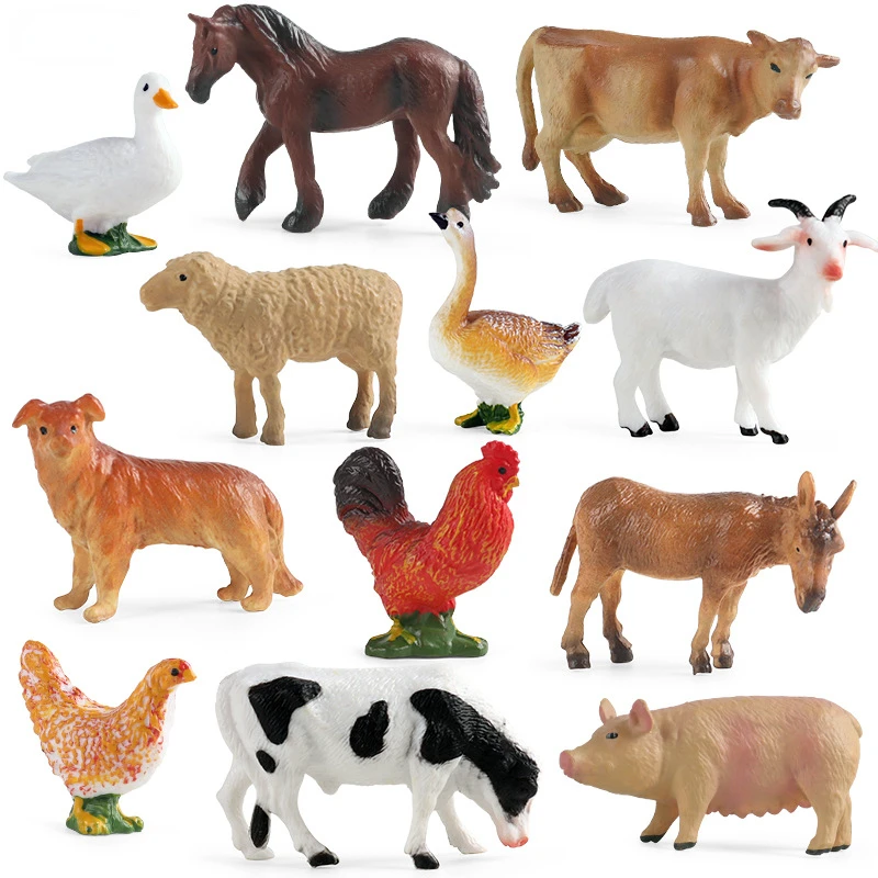 Education Teaching Tool Poultr - Kids First Education avaliação e preço