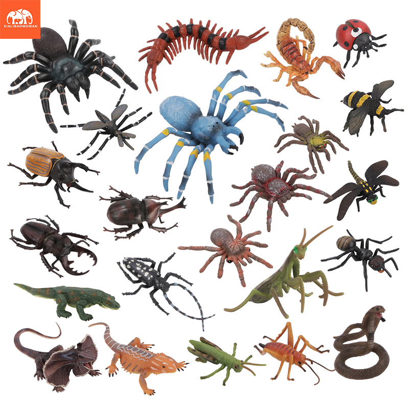Educational Simulation Insect  - Kids First Education avaliação e preço