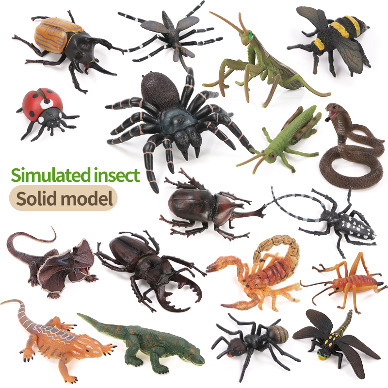 Educational Simulation Insect  - Kids First Education avaliação e preço