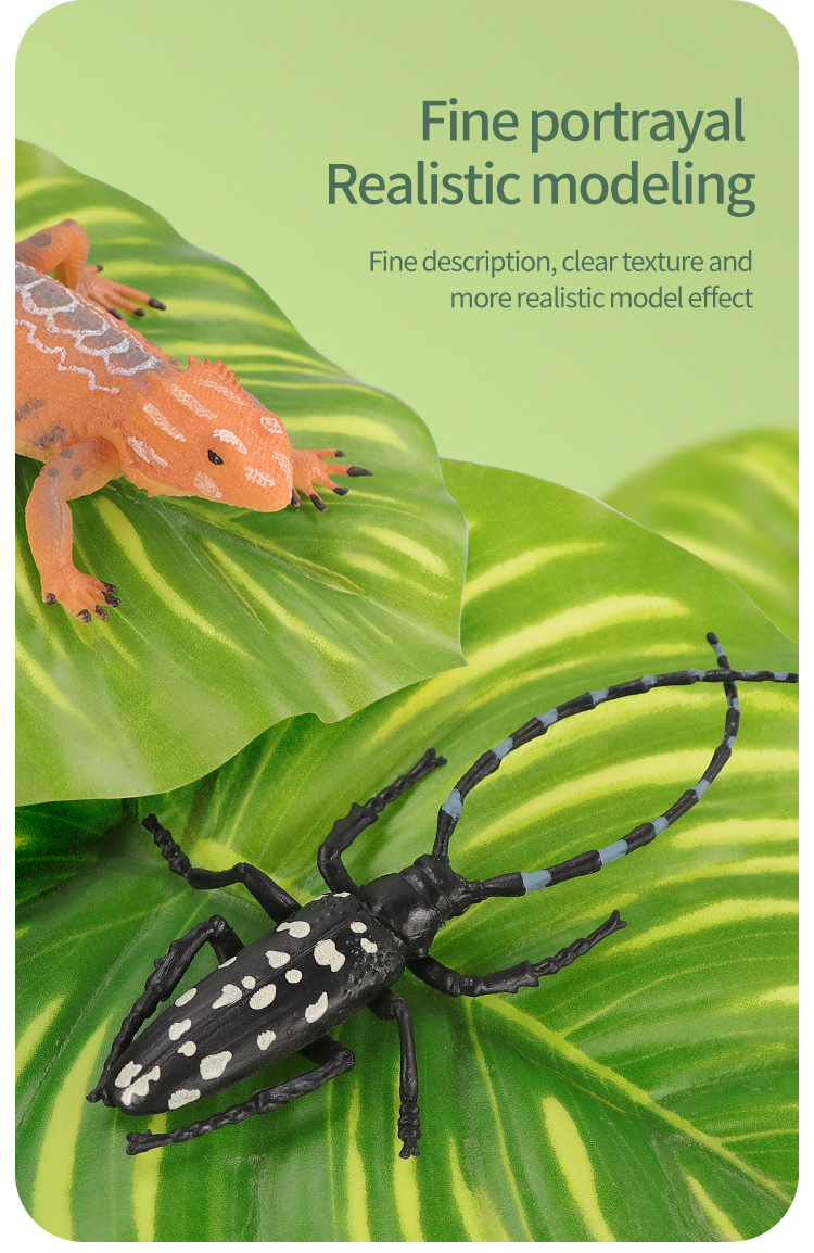 Educational Simulation Insect  - Kids First Education avaliação e preço